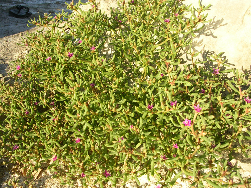 dscn2340