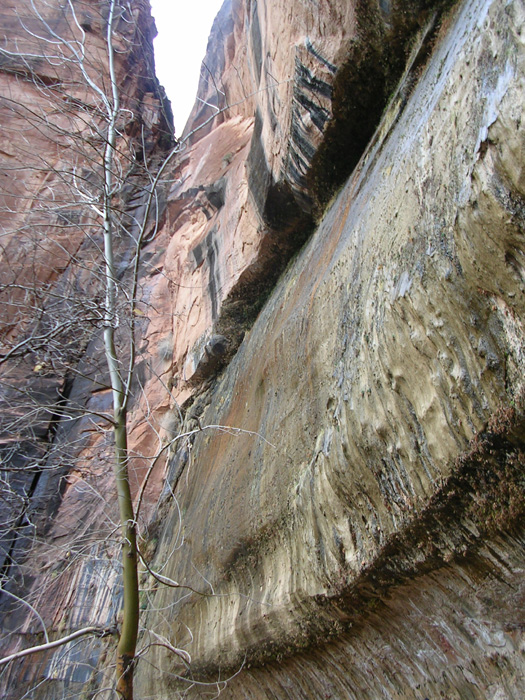 dscn3253