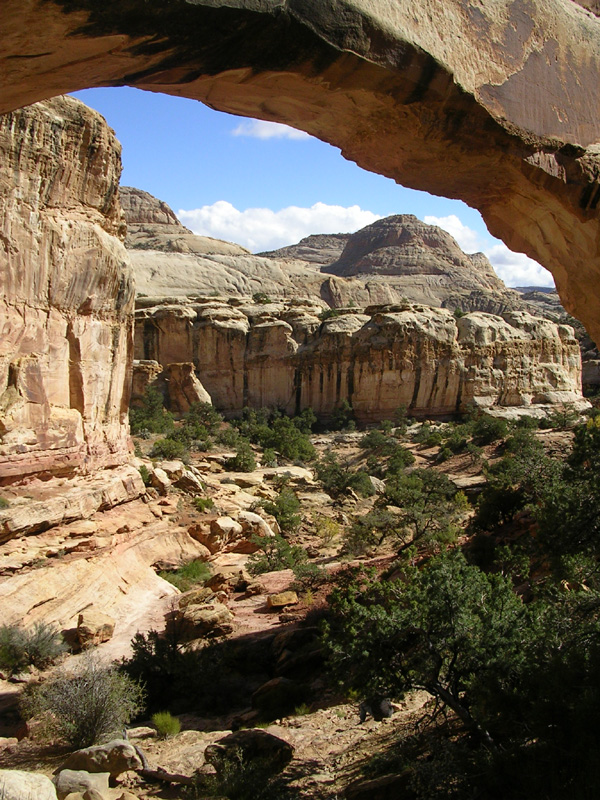 dscn5304