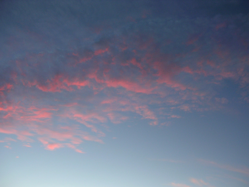 dscn5366
