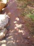dscn5310