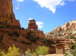 dscn5397