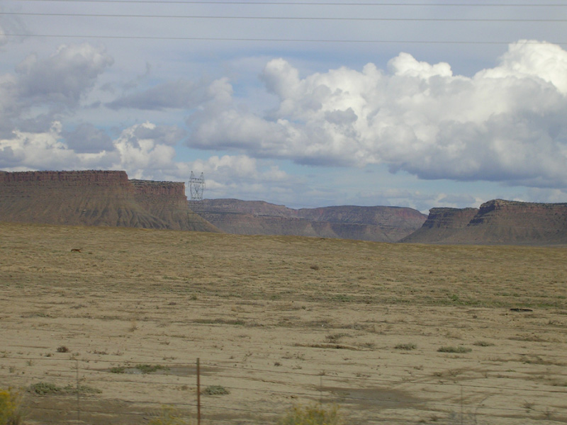dscn5203