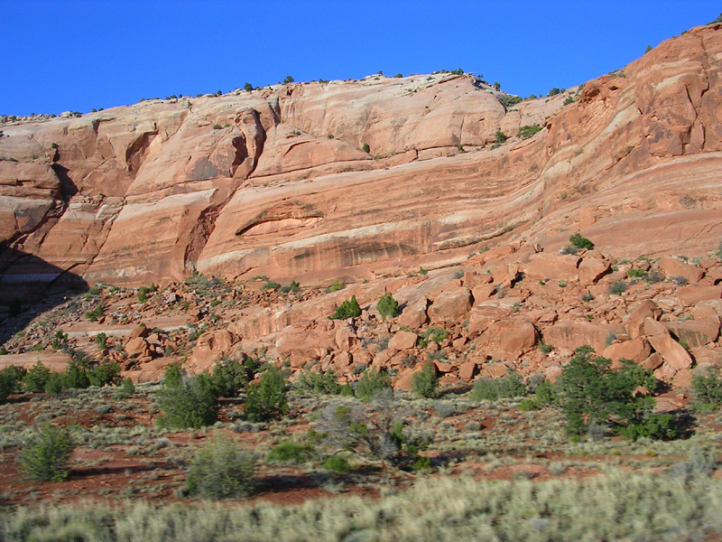 dscn5250