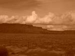 dscn5204