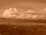 dscn5213