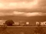dscn5220