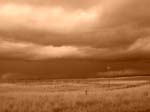 dscn5221