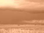 dscn5222