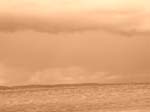 dscn5224