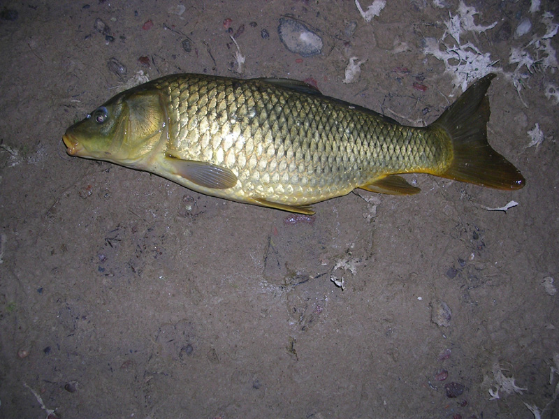 dscn4672