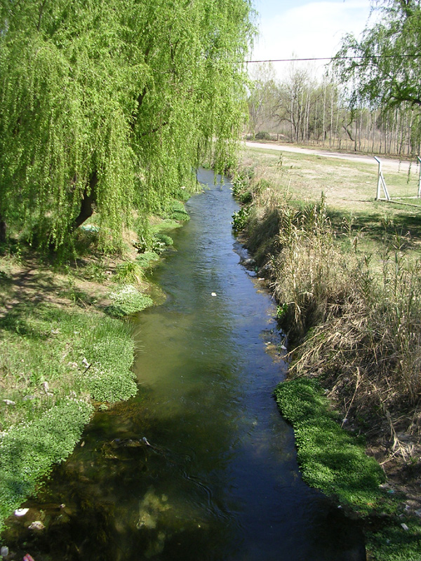 dscn4762
