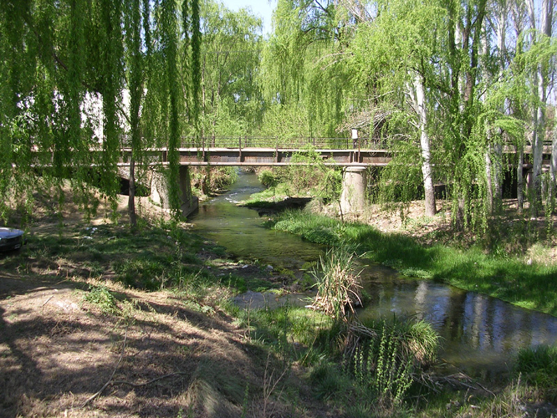 dscn4768