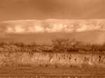 dscn5039