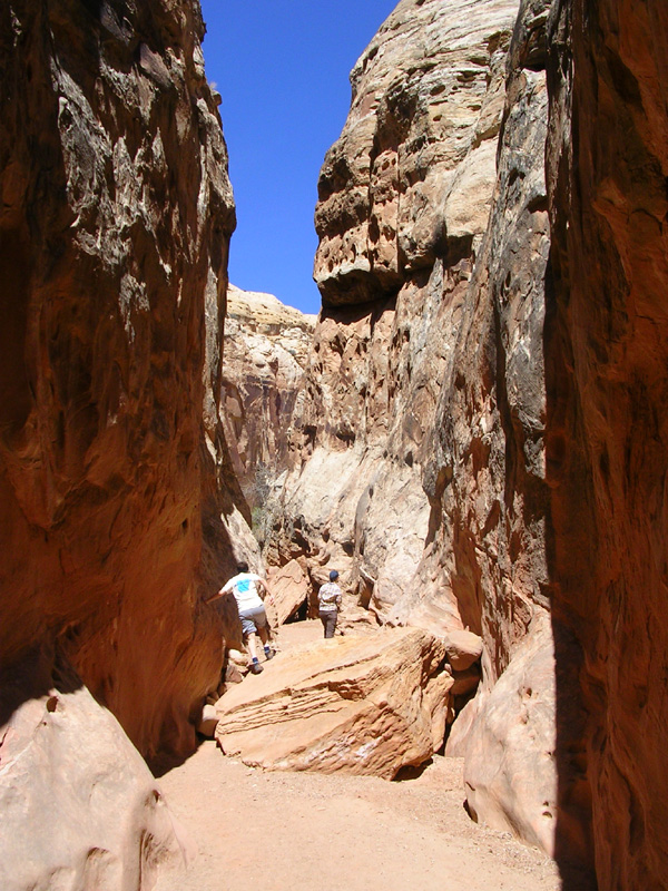 dscn6618
