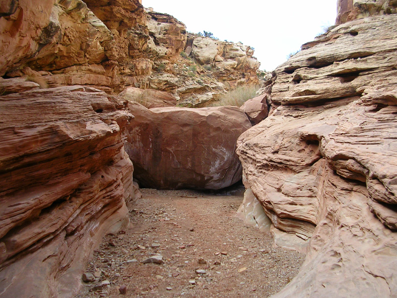 dscn6668