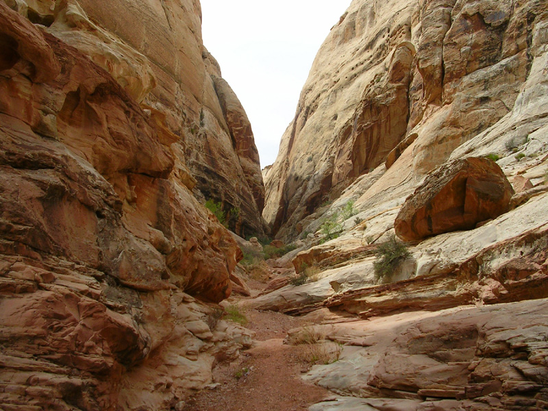 dscn6746
