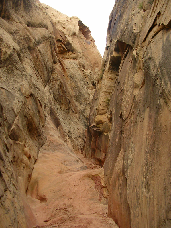 dscn6816