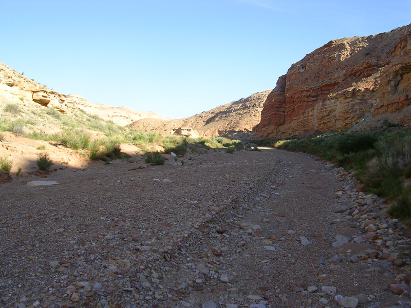 dscn6886