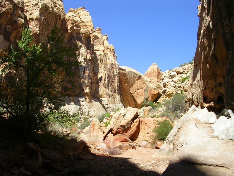 dscn6927