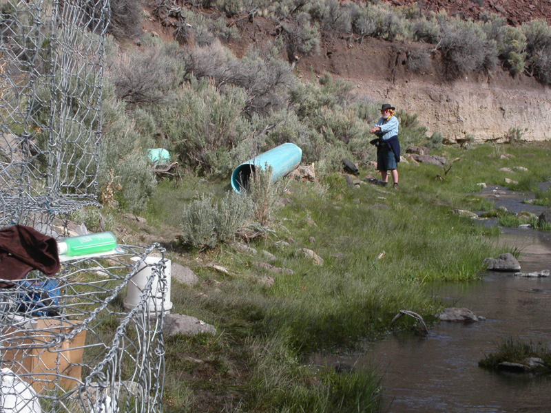 pict0091