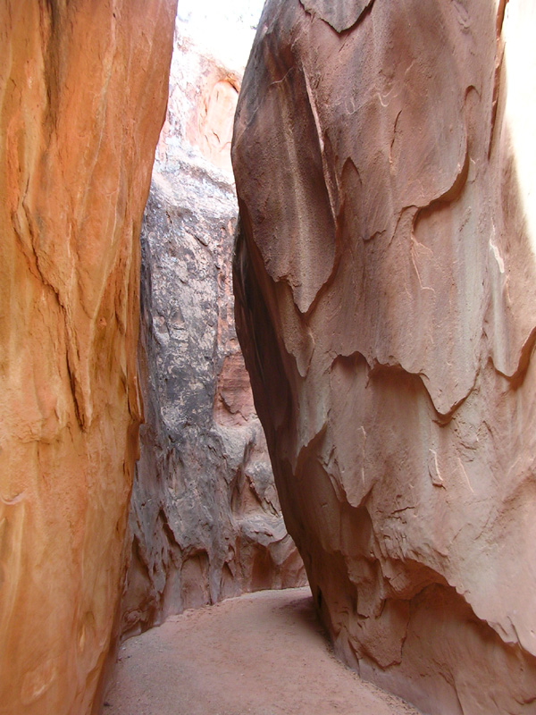 DSCN7008