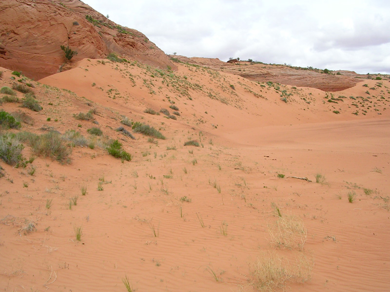 DSCN7056
