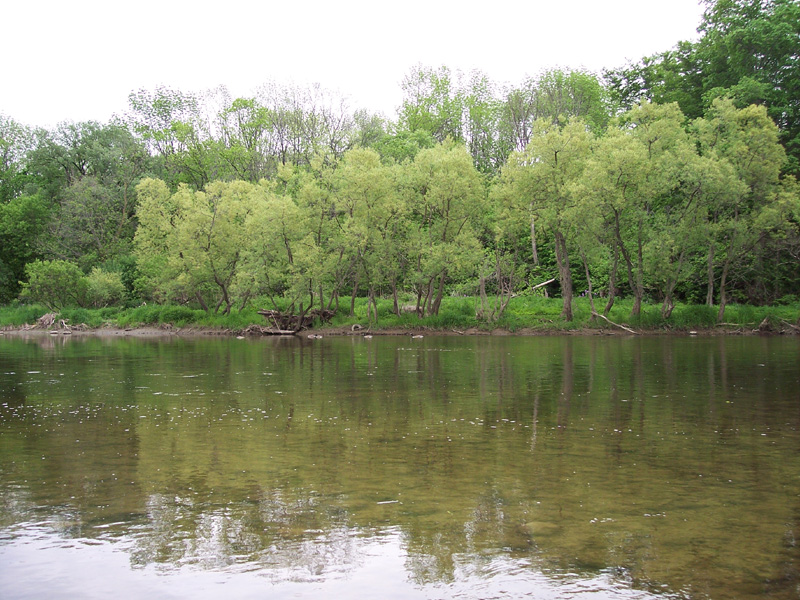 caoacmay2007.009