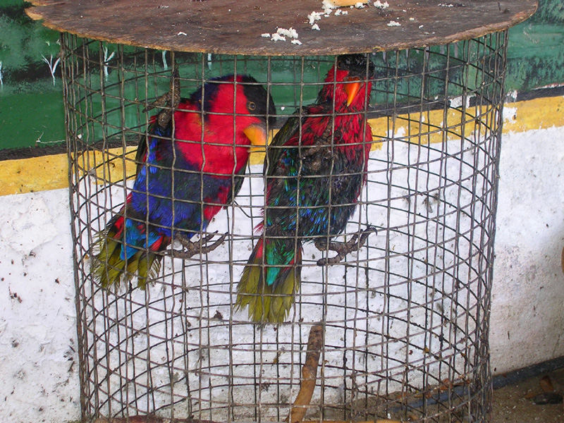 dscn8075