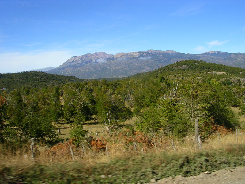 DSCN9350