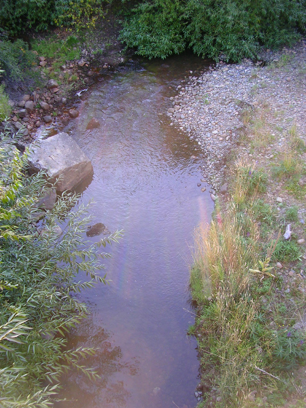 DSCN9361