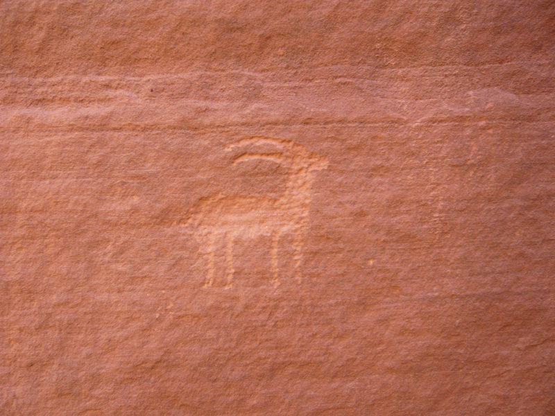 p1000075
