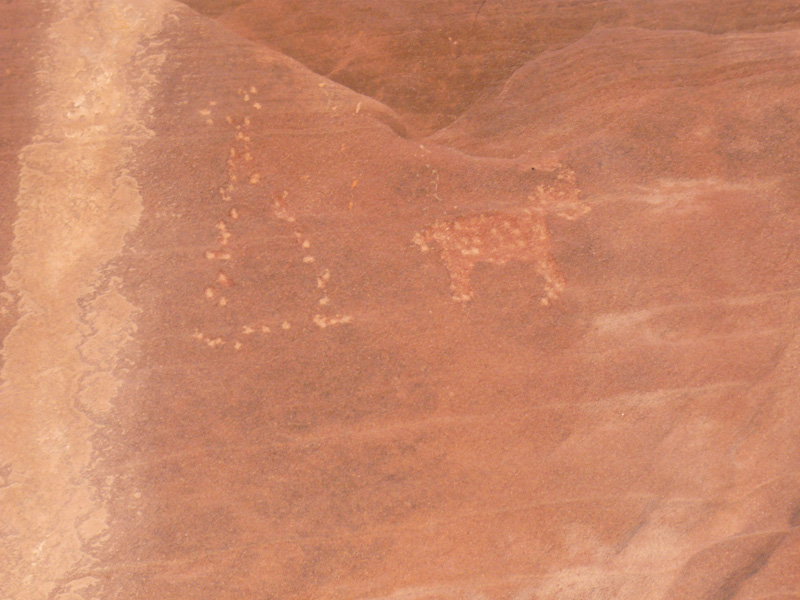 p1000076