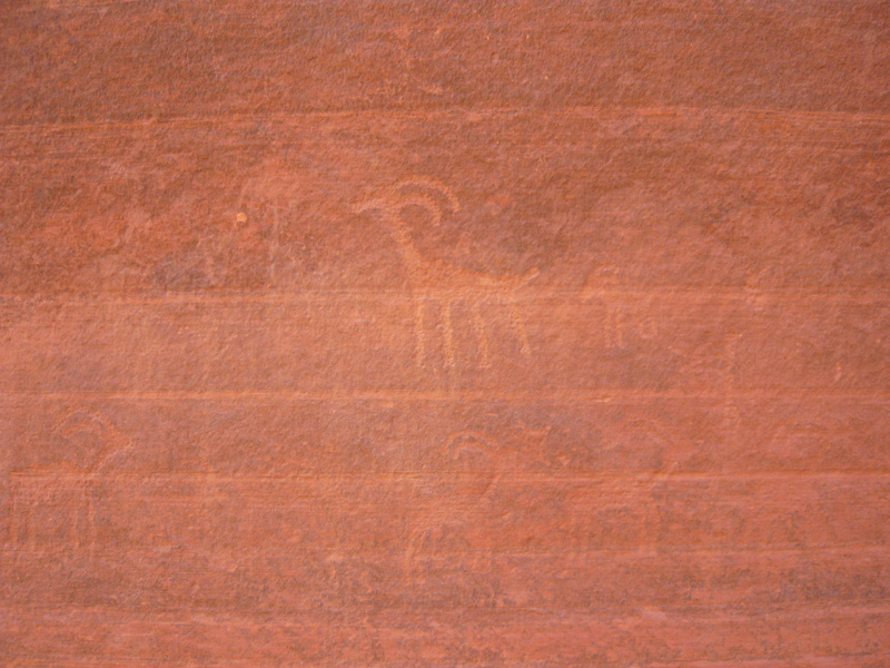 p1000078