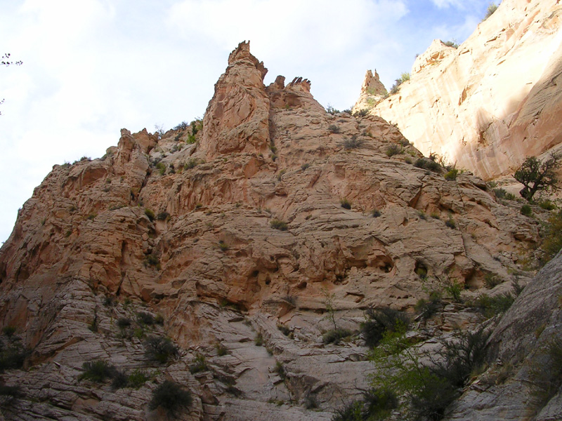 dscn0983