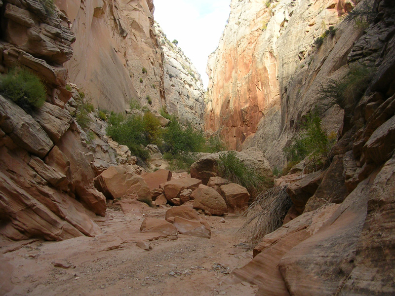 dscn0989