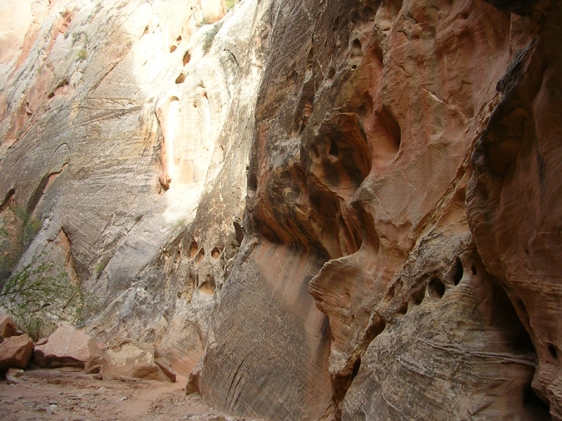 dscn0991