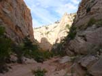 dscn0982