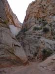 dscn0984