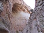 100_2941