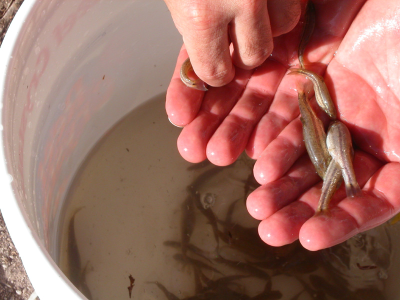 pict0027