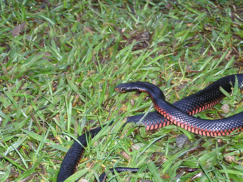 p6230047