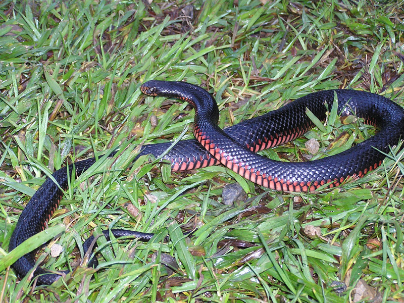 p6230048