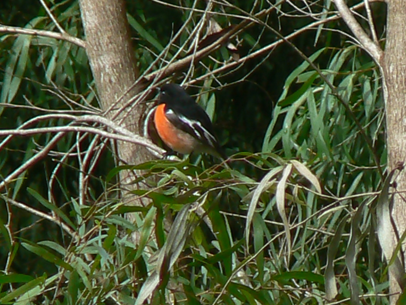 p1010659