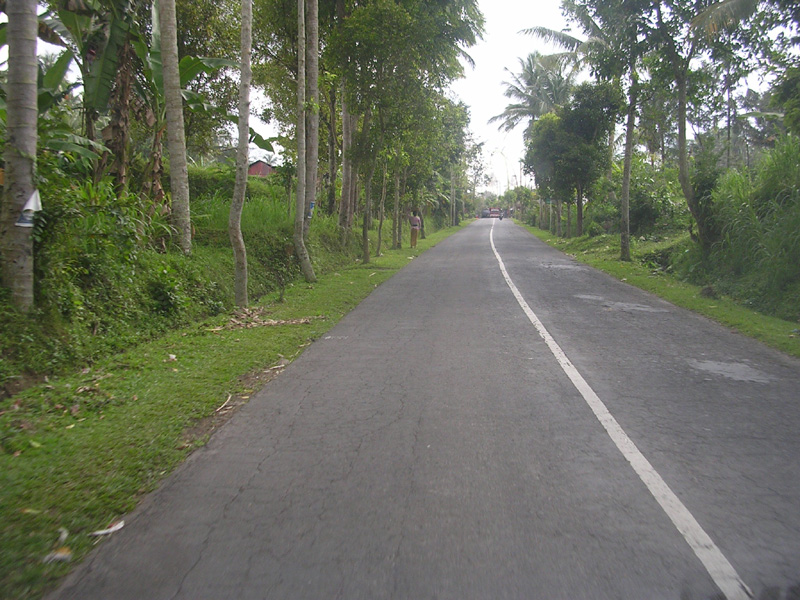 DSCN5289