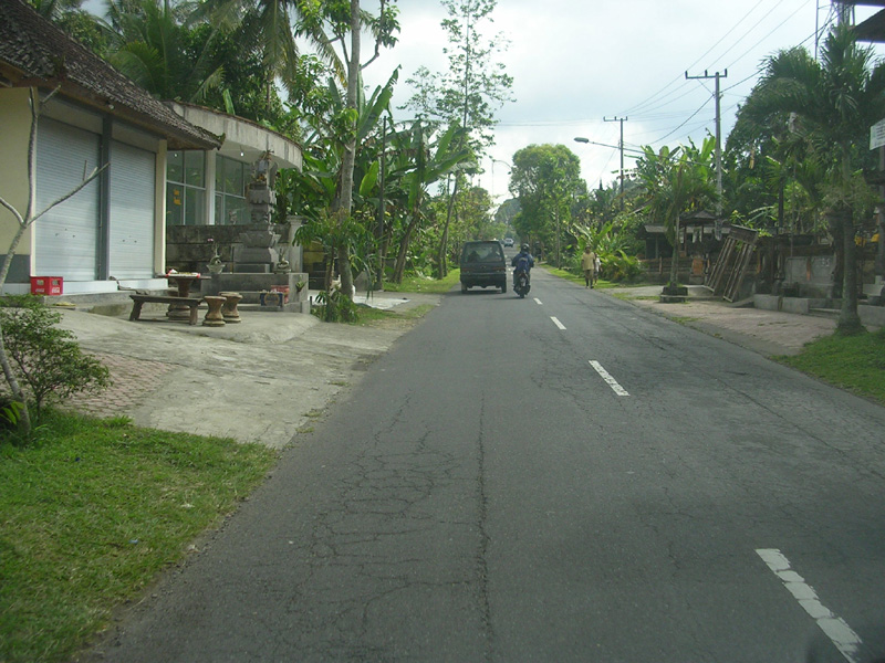 DSCN5290