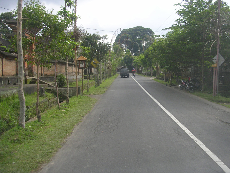 DSCN5291