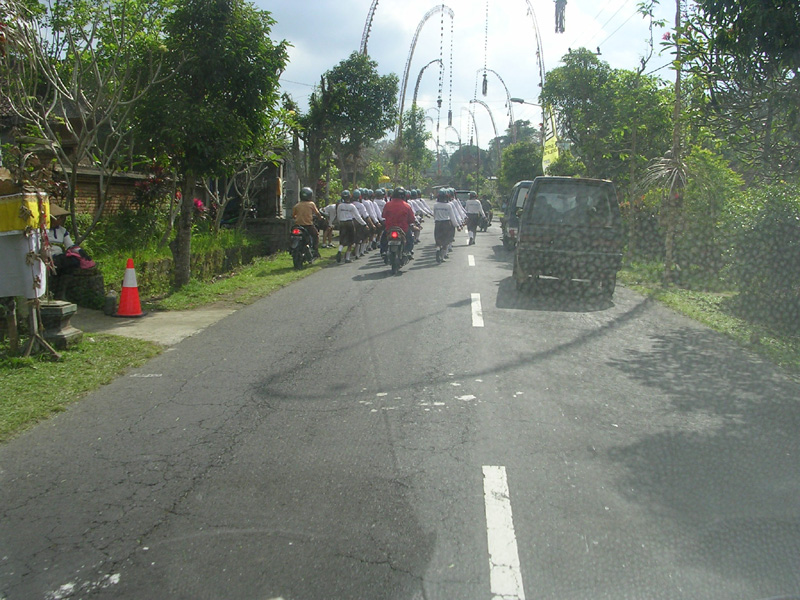 DSCN5294