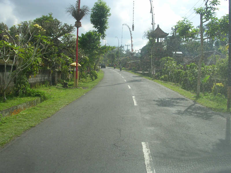 DSCN5296
