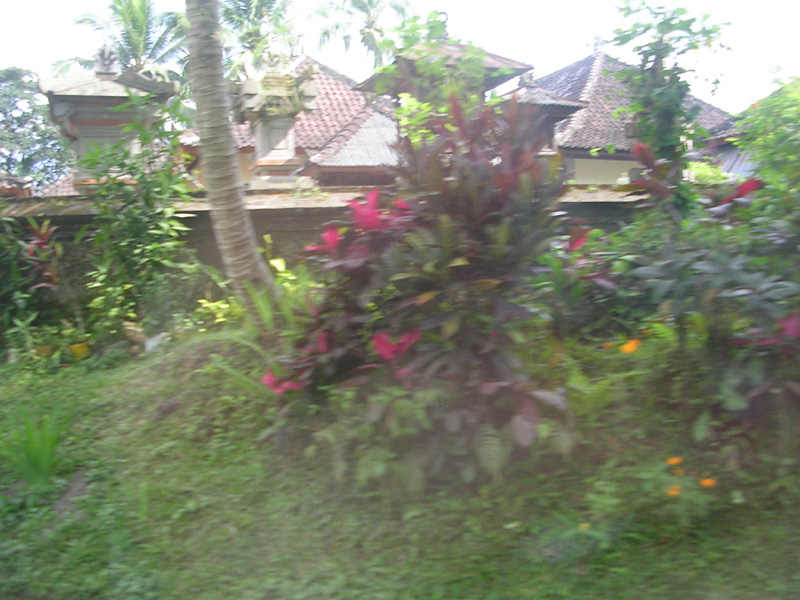 DSCN5297